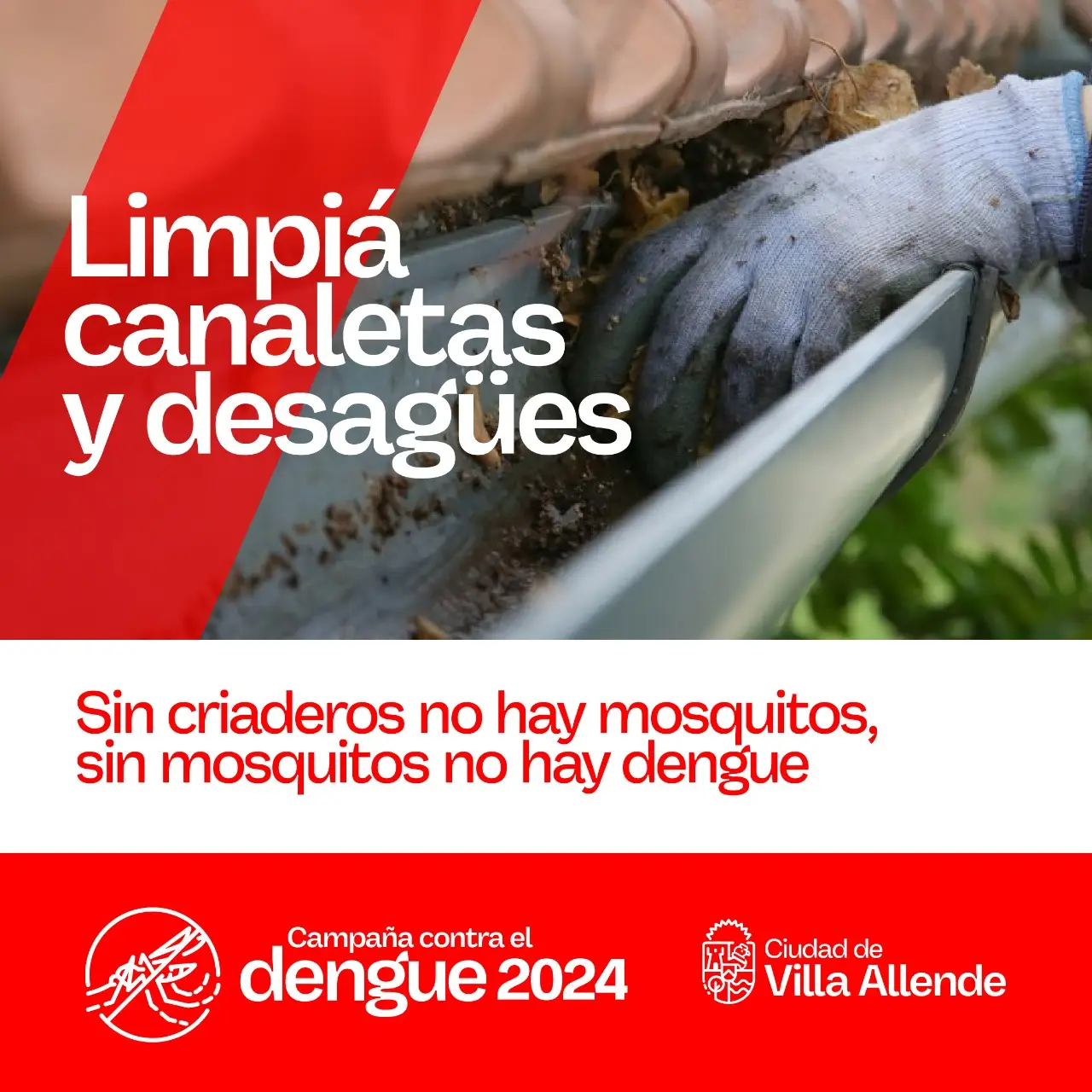 DENGUE