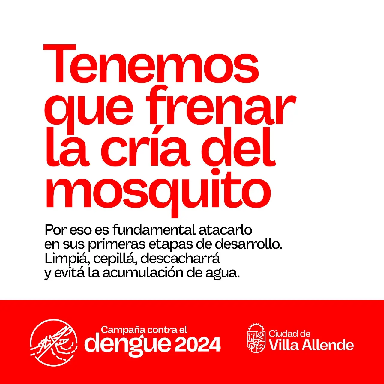 DENGUE1