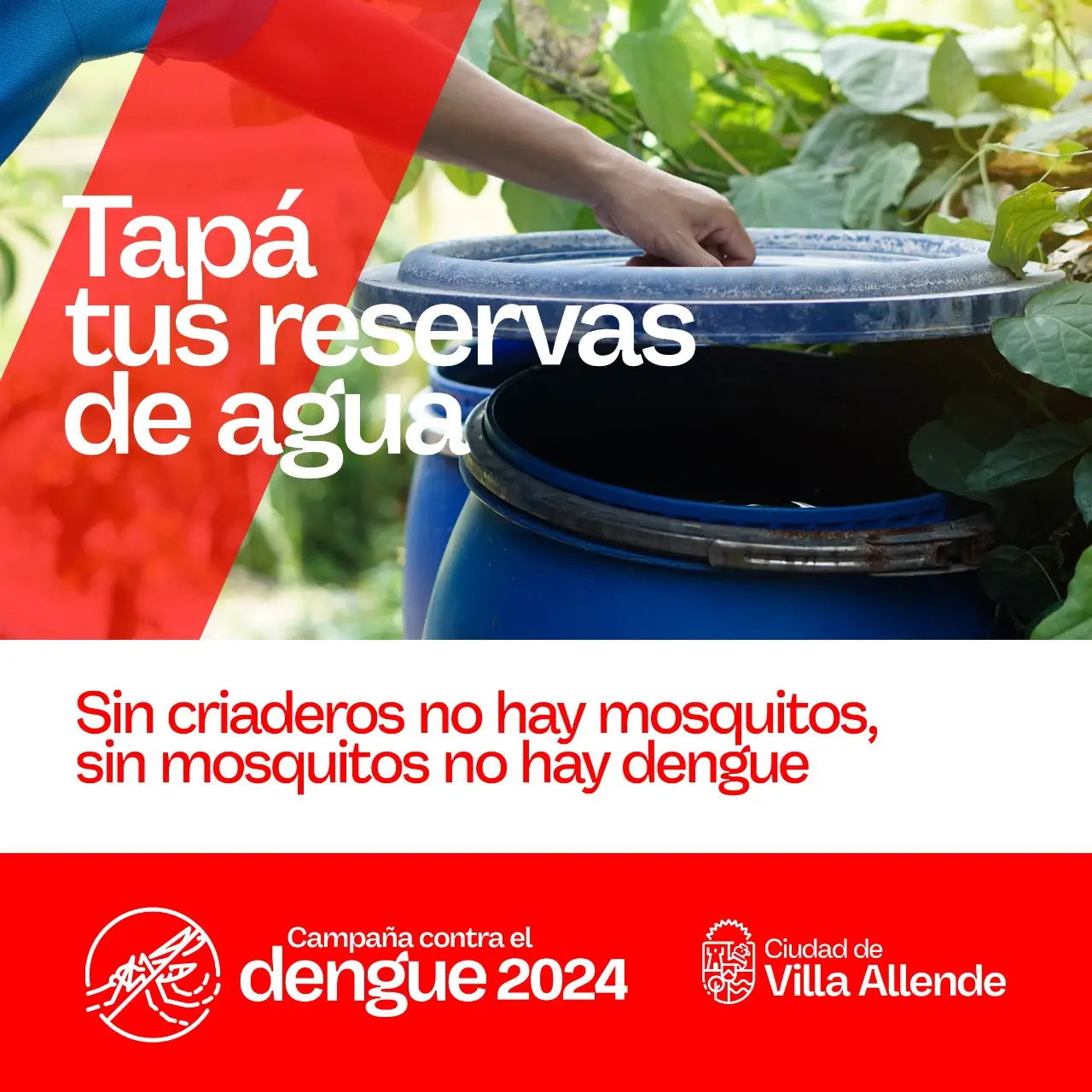 DENGUE2