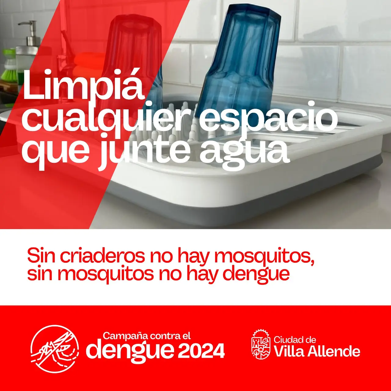 DENGUE3